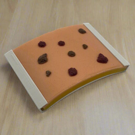 Biopsy practice pad - 3 layer with 9 lesions - Medimodels