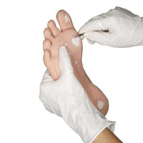 Debridement trainer refill - Medimodels