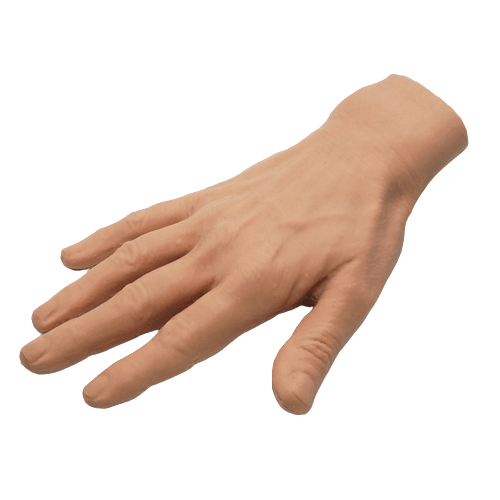 Hand surgery simulator - Medimodels
