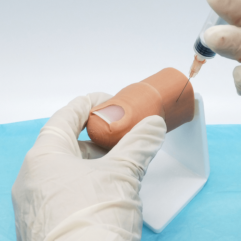 Ingrown toenail surgical simulator - Medimodels