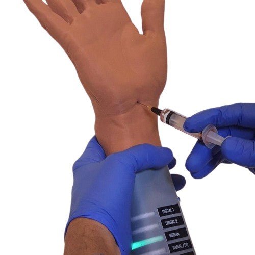 Nerve block trainer - Medimodels